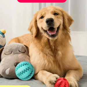 Interactive Dog Tug Treat Toy